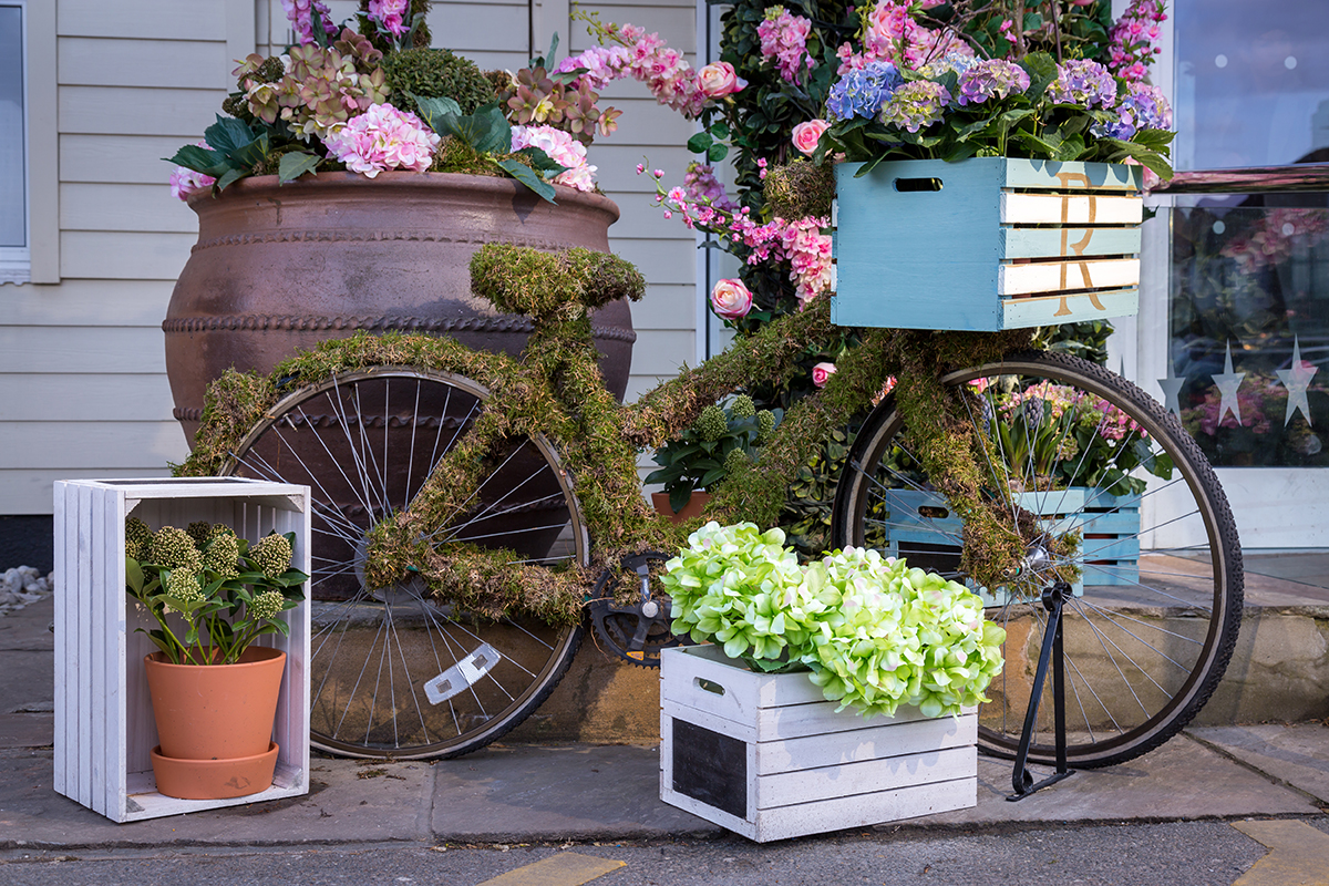 A photo of a bike covered in moss, surrounded by flowers, sitting outside the Roslin Beach Hotel in Southend.
